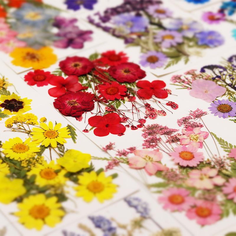 Resin Craft Ideas - Bunga Tanaman Kering Alami Asli Bahan
