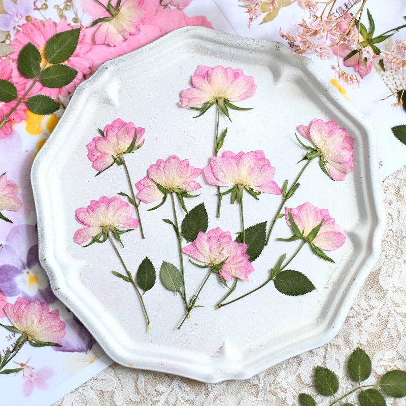 Resin Craft Ideas - 12pcs, Bunga Kering Asli untuk Casing