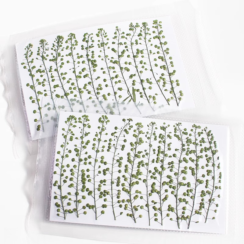 Bunga Rumput Lonceng Hijau Ala - Resin Craft Ideas ulasan dan harga