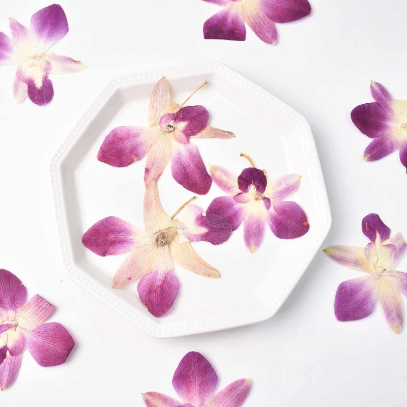 4 Buah, Bunga Anggrek Kupu-kup - Resin Craft Ideas ulasan dan harga