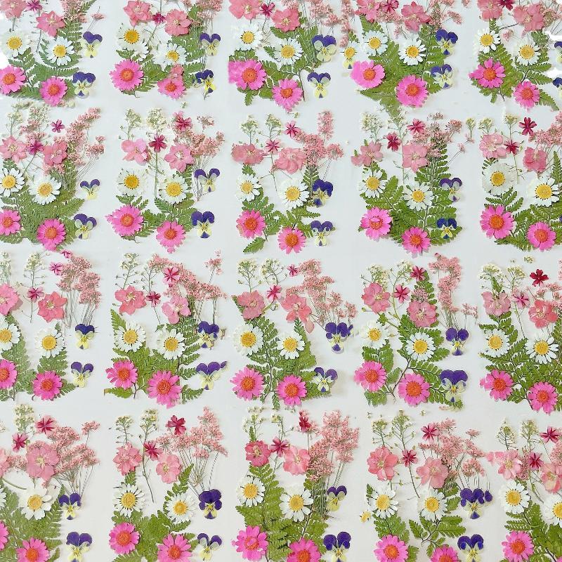Bunga Tanaman Kering Alami Asl - Resin Craft Ideas ulasan dan harga